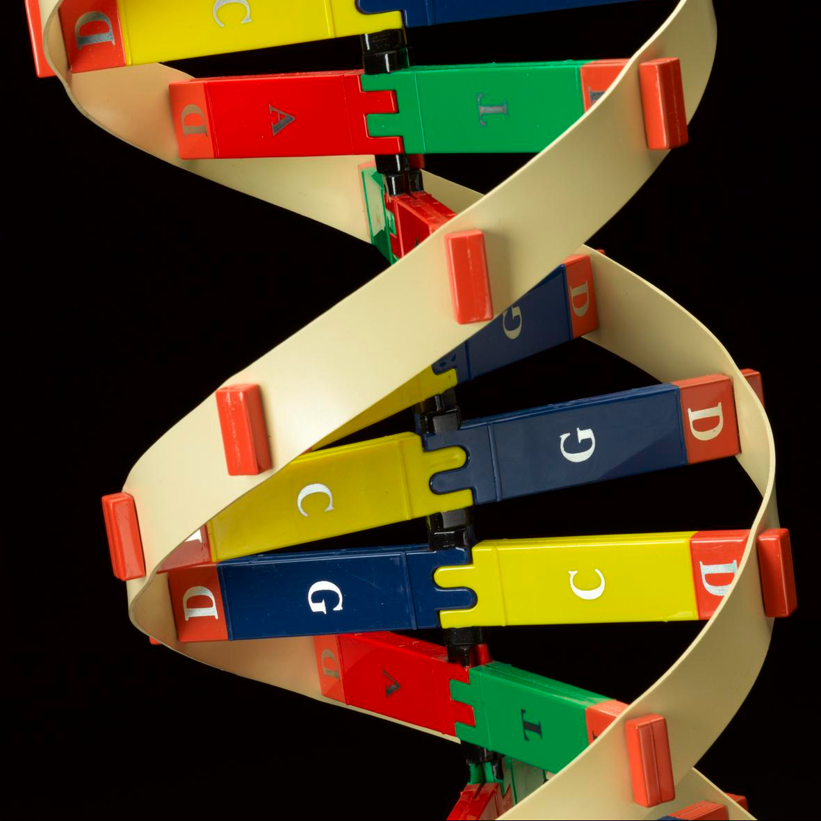 Down the line – was my bipolar inherited?